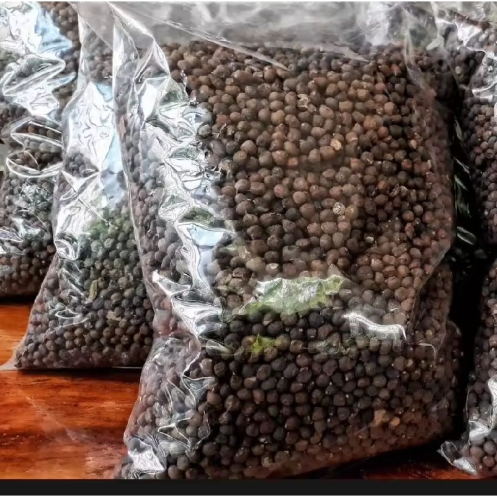 Biji Kapuk Randu / klenteng Randu 1Kg / biji kapuk/ bibit benih klenteng / Umpan Ikan Lampam Dengan 