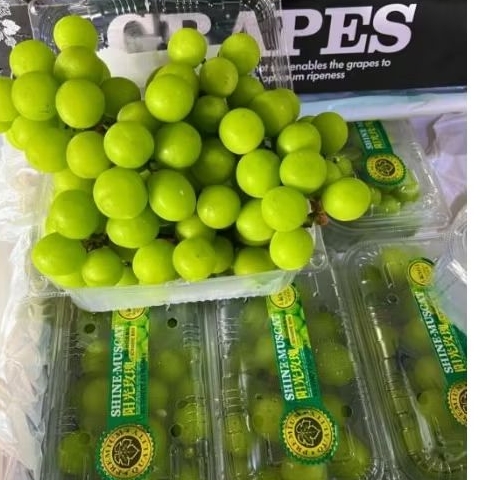 

ANGGUR HIJAU MANIS TANPA BIJI