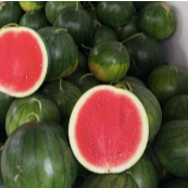 

Semangka Non Biji 3 kg Medan Daily Market