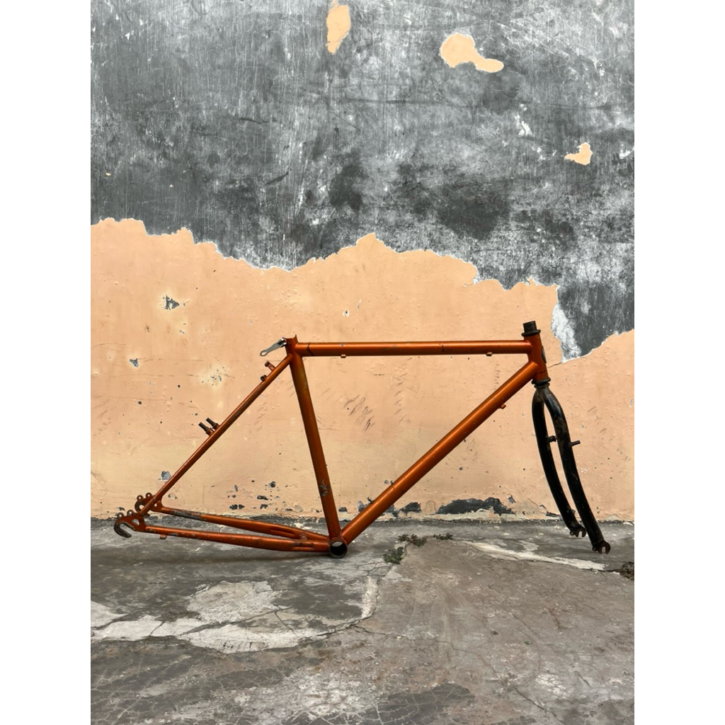 Frame mongoose sz 19
