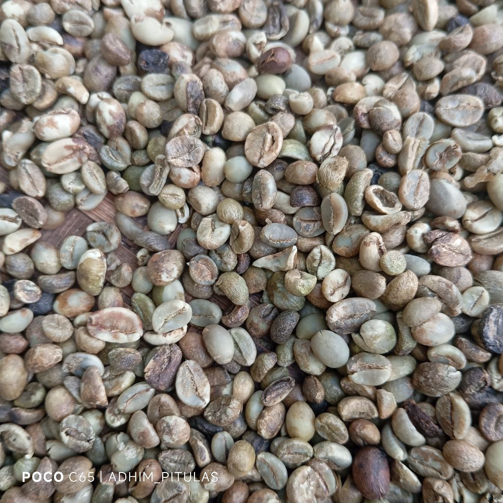 

Biji Kopi Robusta Asalan 250gr