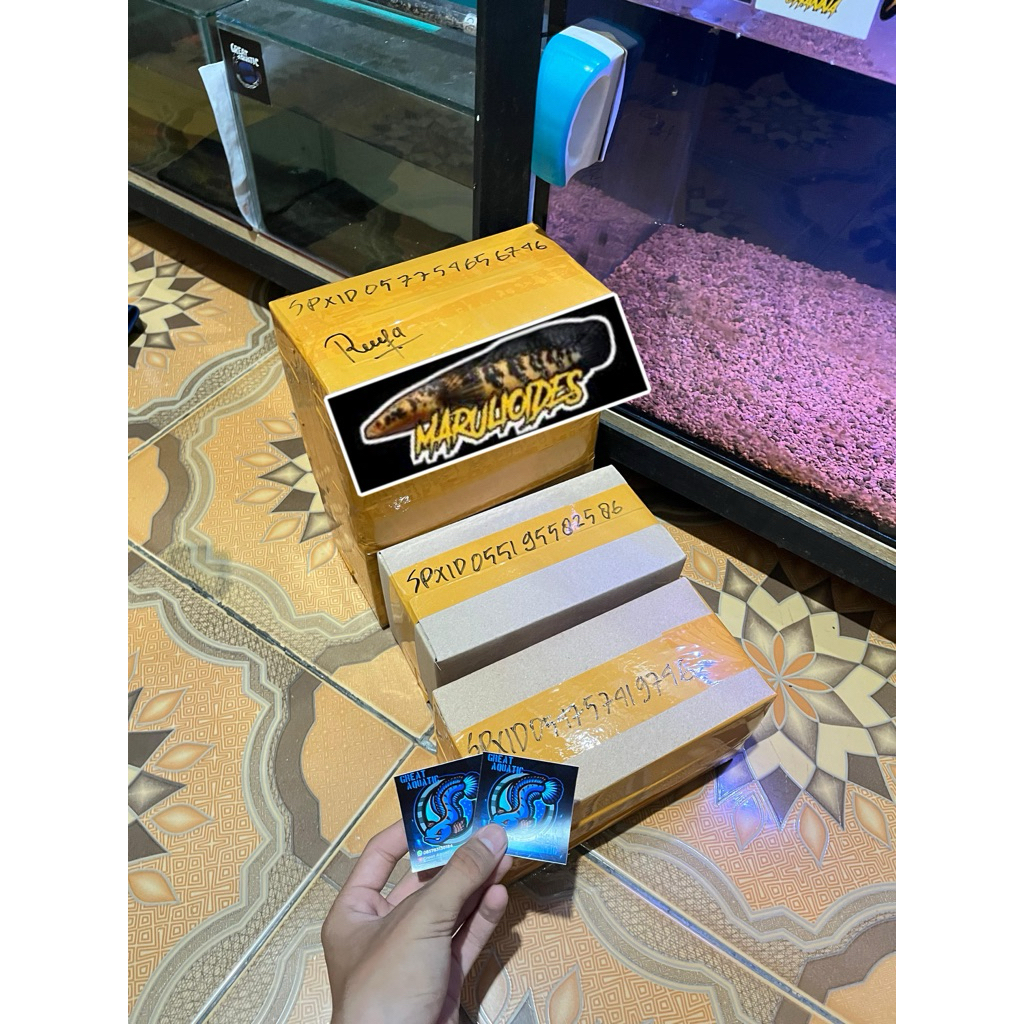 

KARDUS HIASAN AQUARIUM MARU YS SIMET SIMETT SINGLE TANK KUALITAS SUPERR GRADE A++