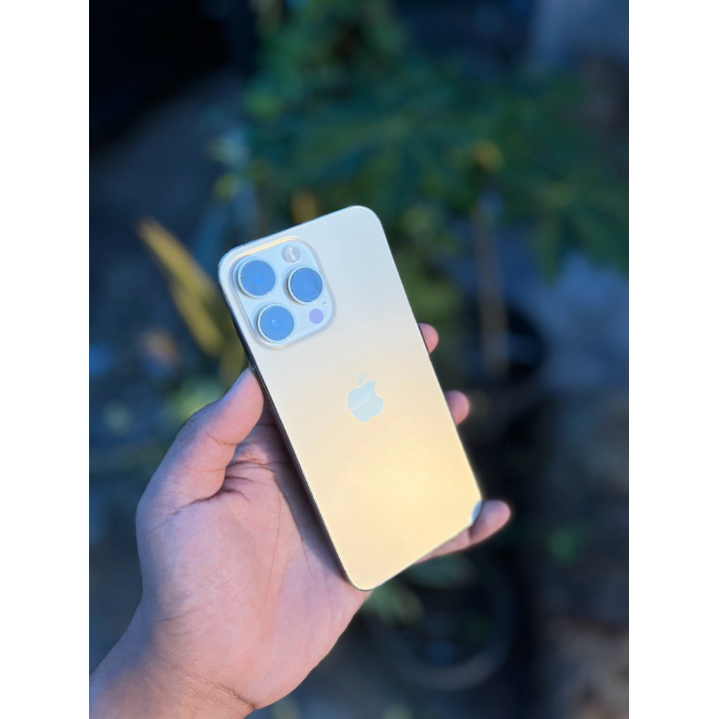 iPhone 14 Pro Max 256 Inter