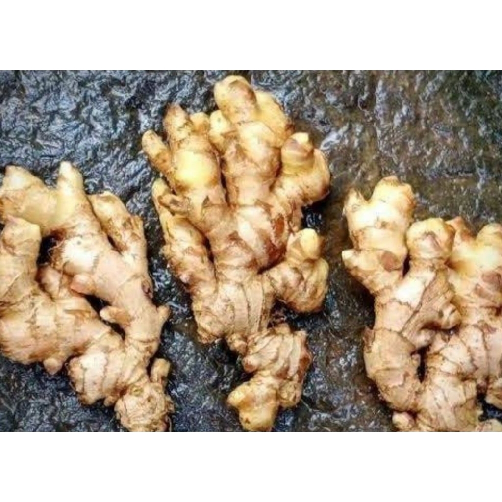 

JAHE EMPRIT 1 KG JAHE EMPRIT SUPER PEDAS 1Kg