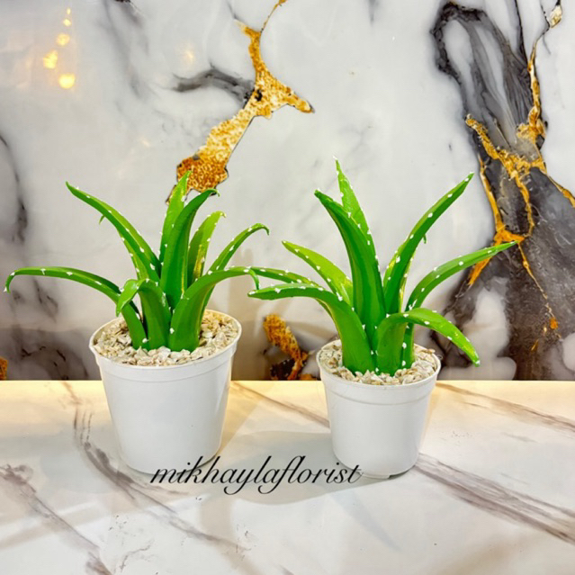 Lidah buaya artificial  // bunga hias lidah buaya
