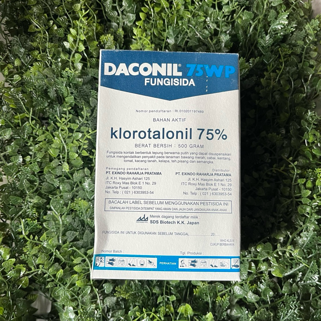 DACONIL 75WP 500gr - Fungisida