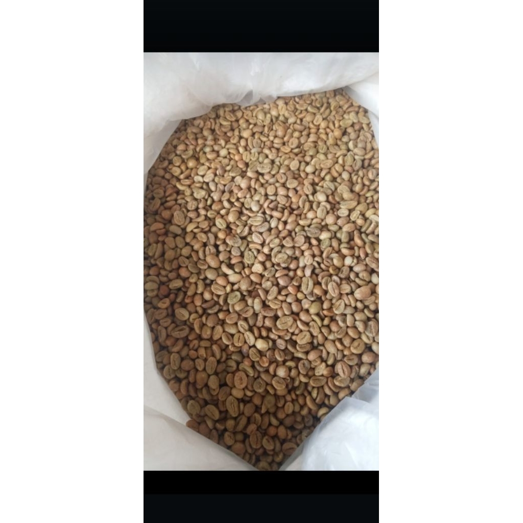 

Kopi Robusta natural kerinci