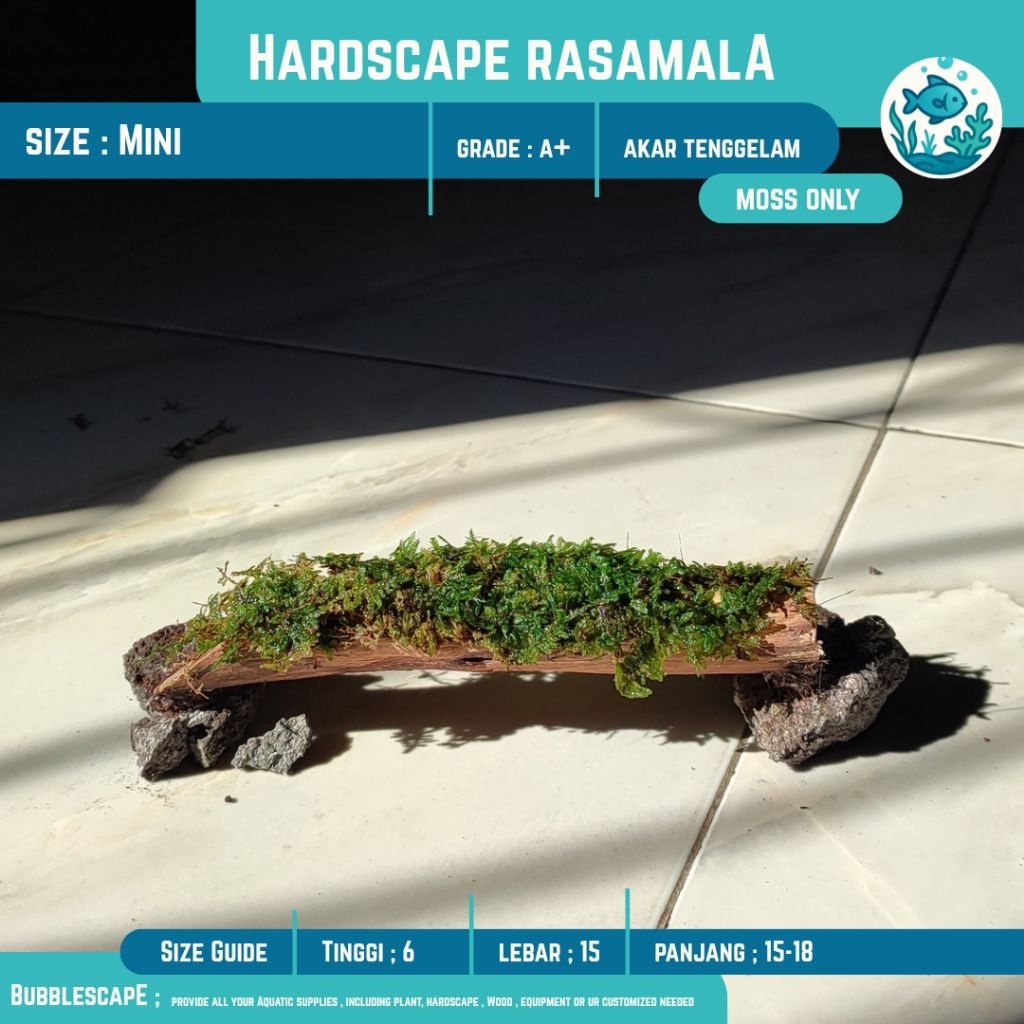 AKAR TENGGELAM MINI+Moss |Hardscspe |Ornamen Hiasan |Tanaman Aquatic |Akar Tenggelam |Aquascape |Hia