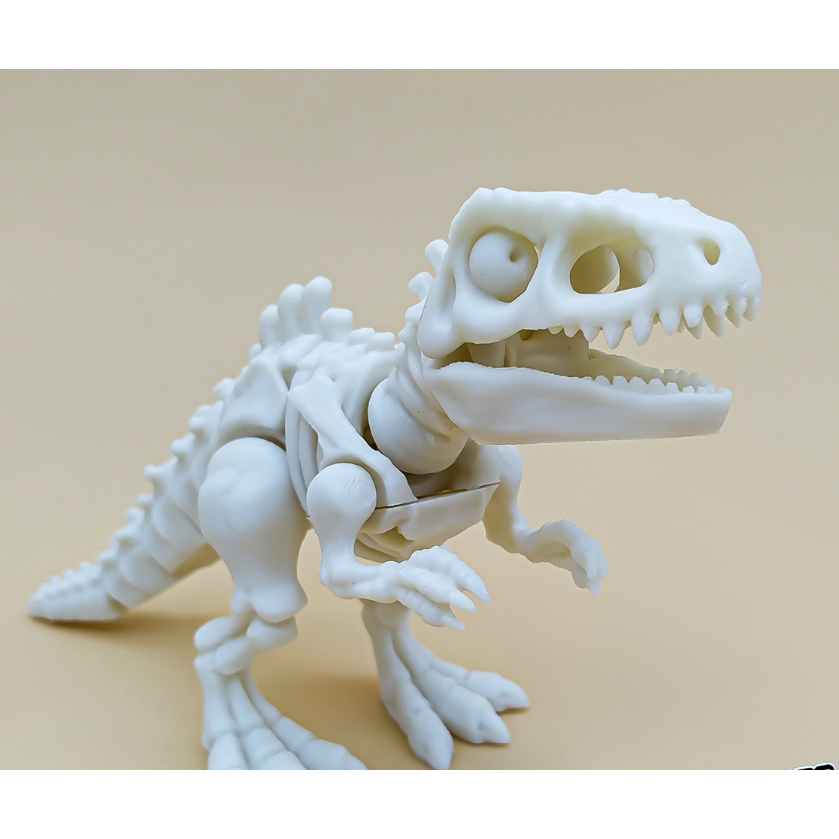 Cuero Mainan Artikulasi Skeleton Dinosaurus Giganotosaurus Kerangka