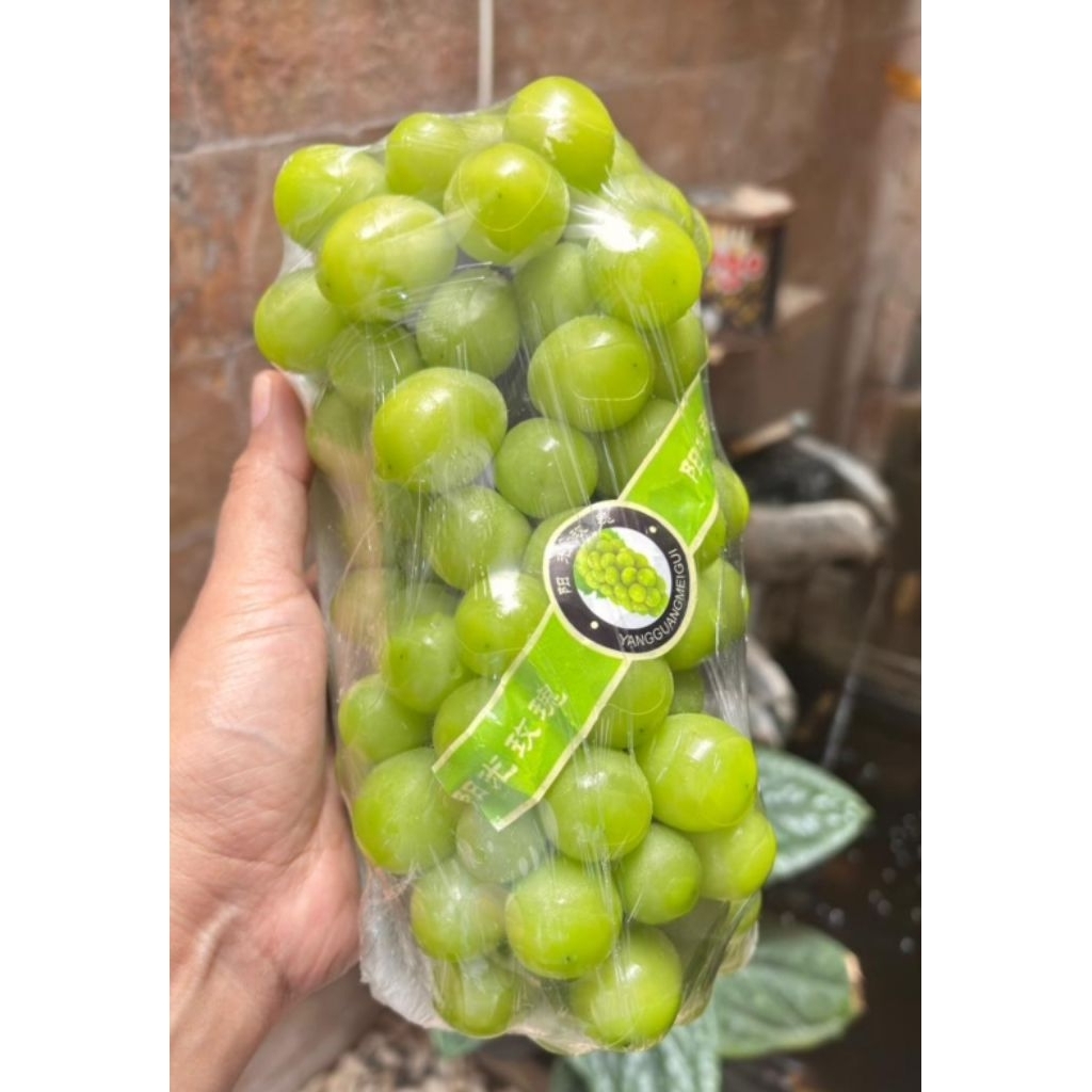 

anggur muscat 1 tangkai ±750gr | anggur hijau non biji