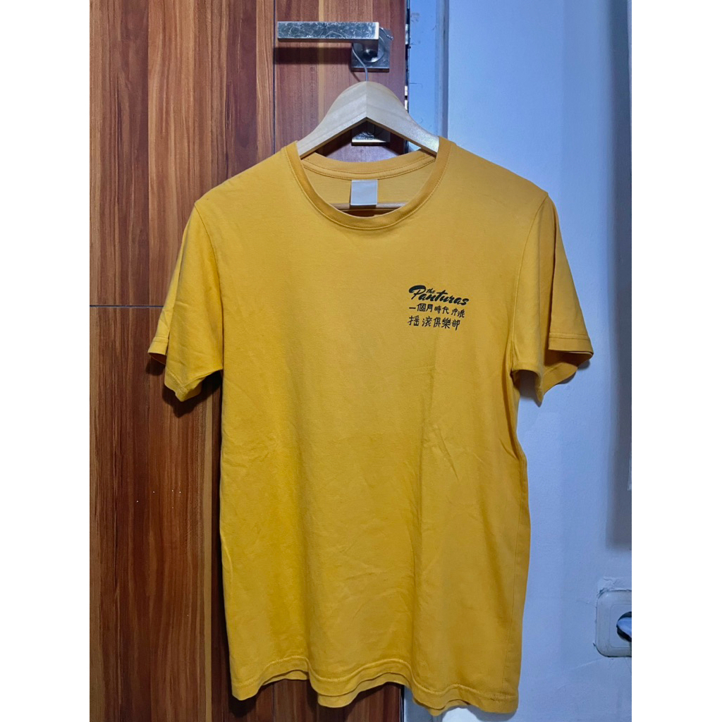 The Panturas - Sunshine