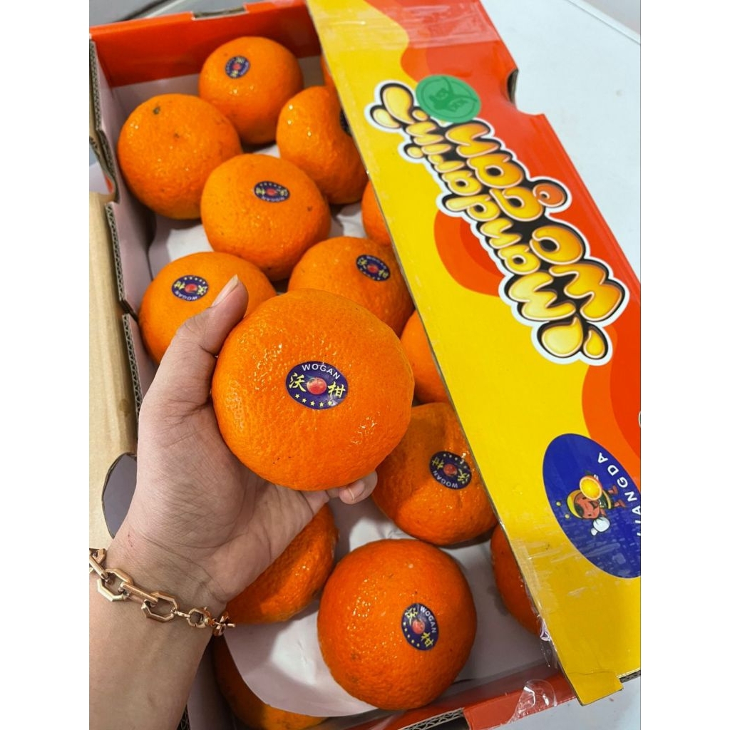 

Jeruk Wogan Mandarin maniis