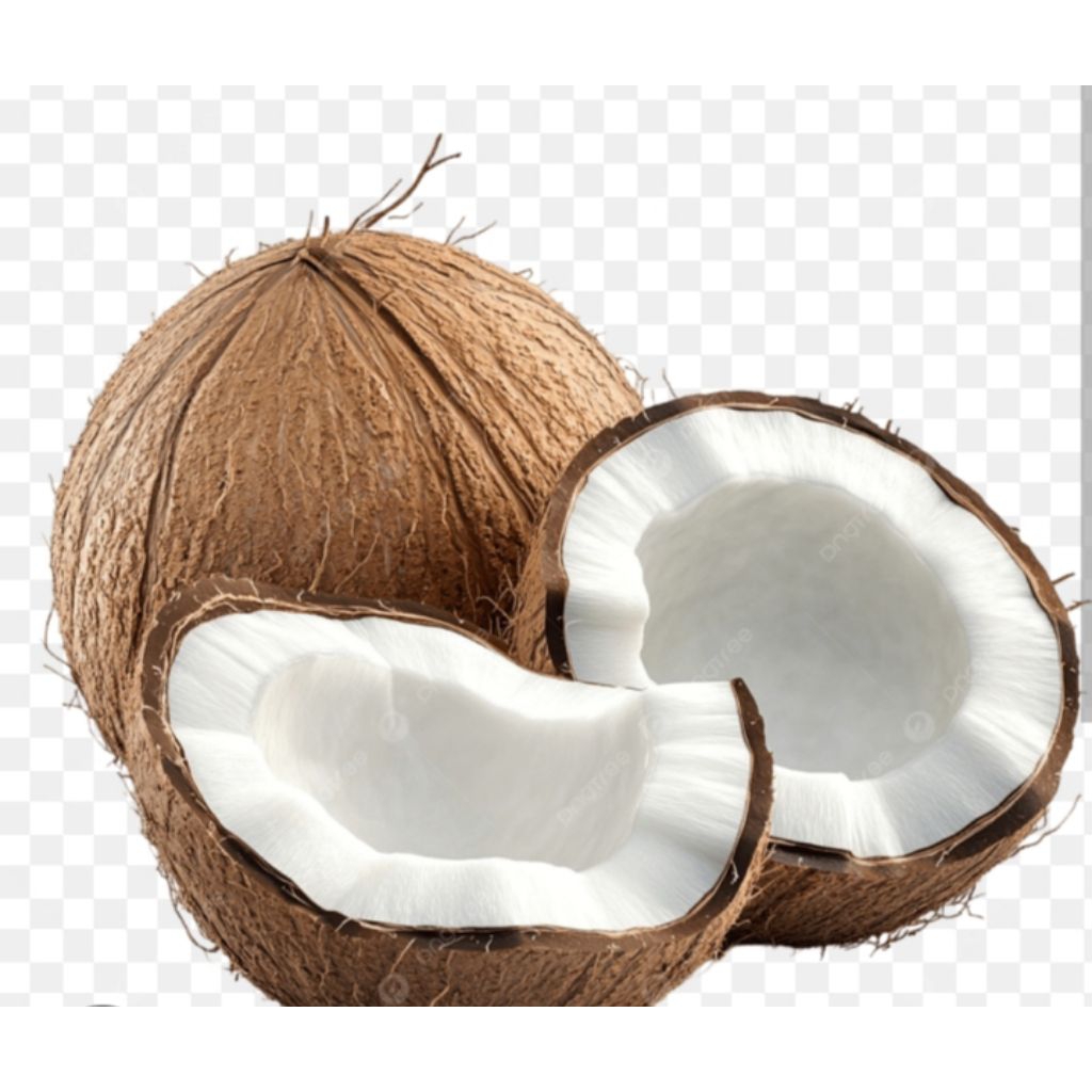 

Kelapa Tua / kelapa pilihan untuk kebutuhan anda