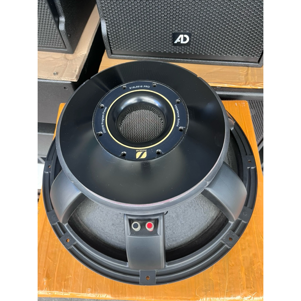 speaker 18” Phaselab 18 L 6616 PRO