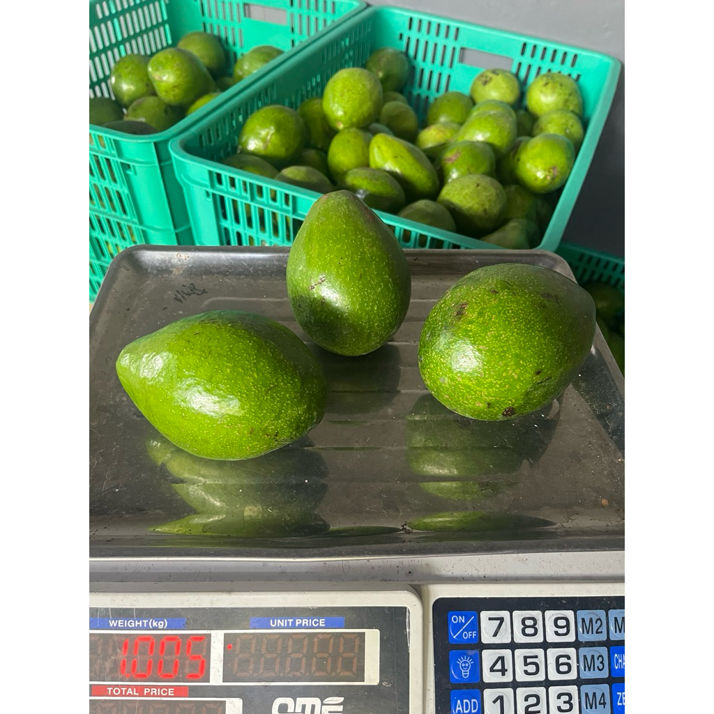 

Alpukat Mentega Super - 1kg isi 2-3 Buah