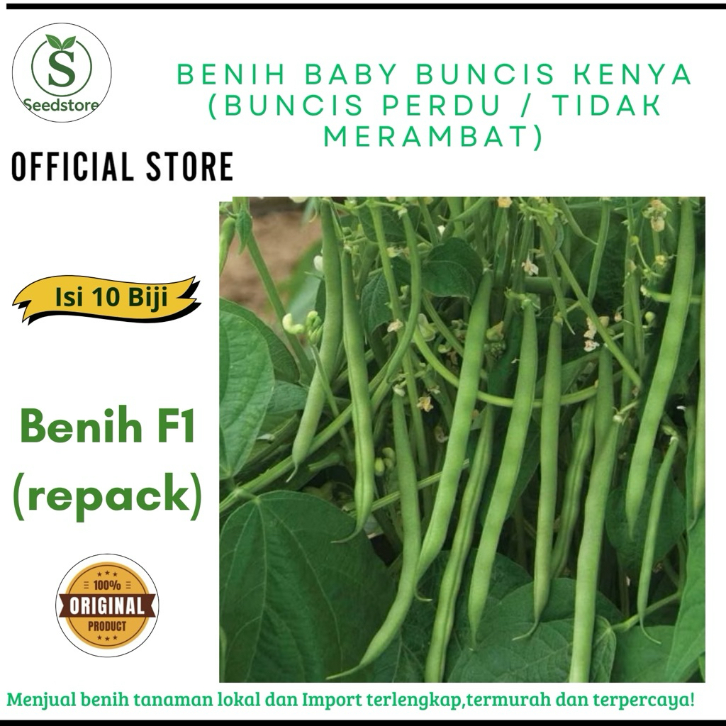 10 Biji - Benih Baby Buncis KENYA (Buncis perdu / tidak merambat)-seedstore