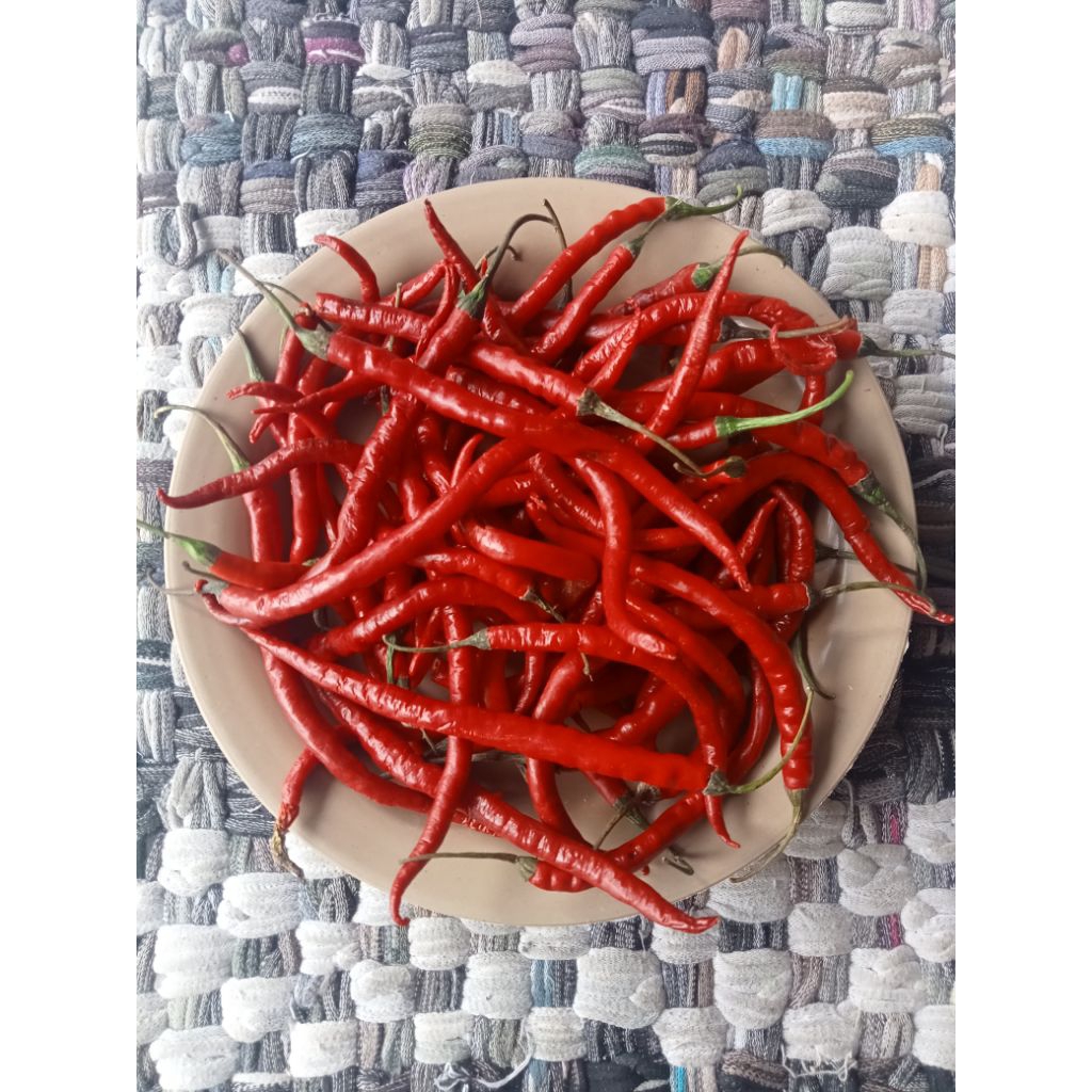 

Cabe Merah Keriting Kiloan 1/4 kg 250gr Cabai Kriting Lombok Segar Fresh - Aneka Bumbu Dapur