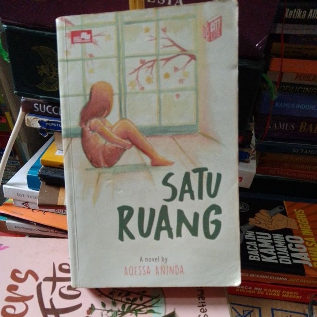 Novel satu ruang bt Aqessa aninda