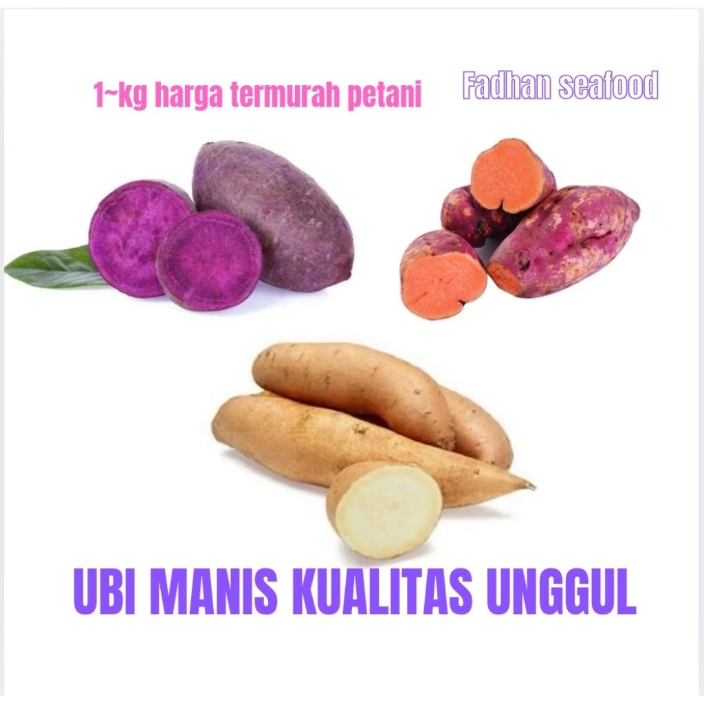 

1 KG UBI JALAR MANIS MURAH UBI UKURAN SEDANG UBI MURAH ubi ungu / Hui putih / ubi oren