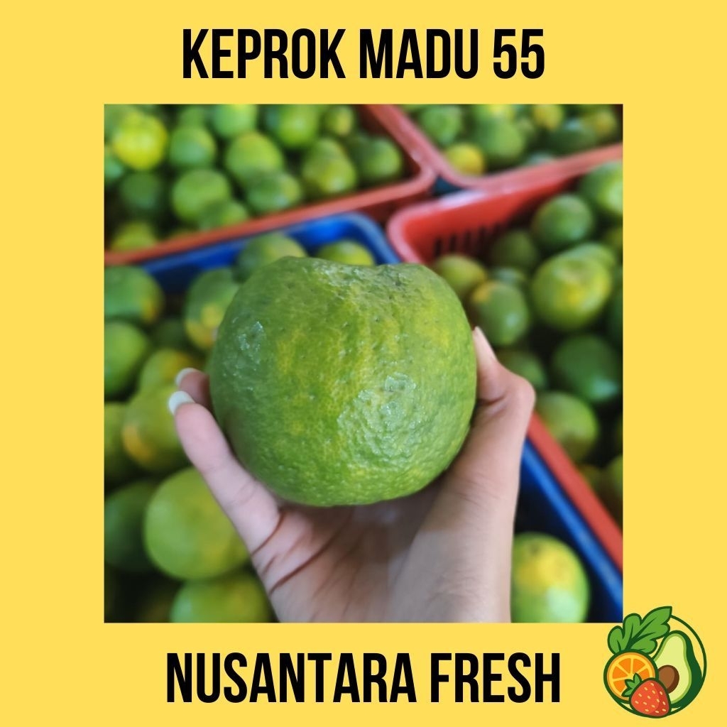 

Jeruk Keprok Batu 55 I 1 Kg | Kota Batu I BERGARANSI BUAH