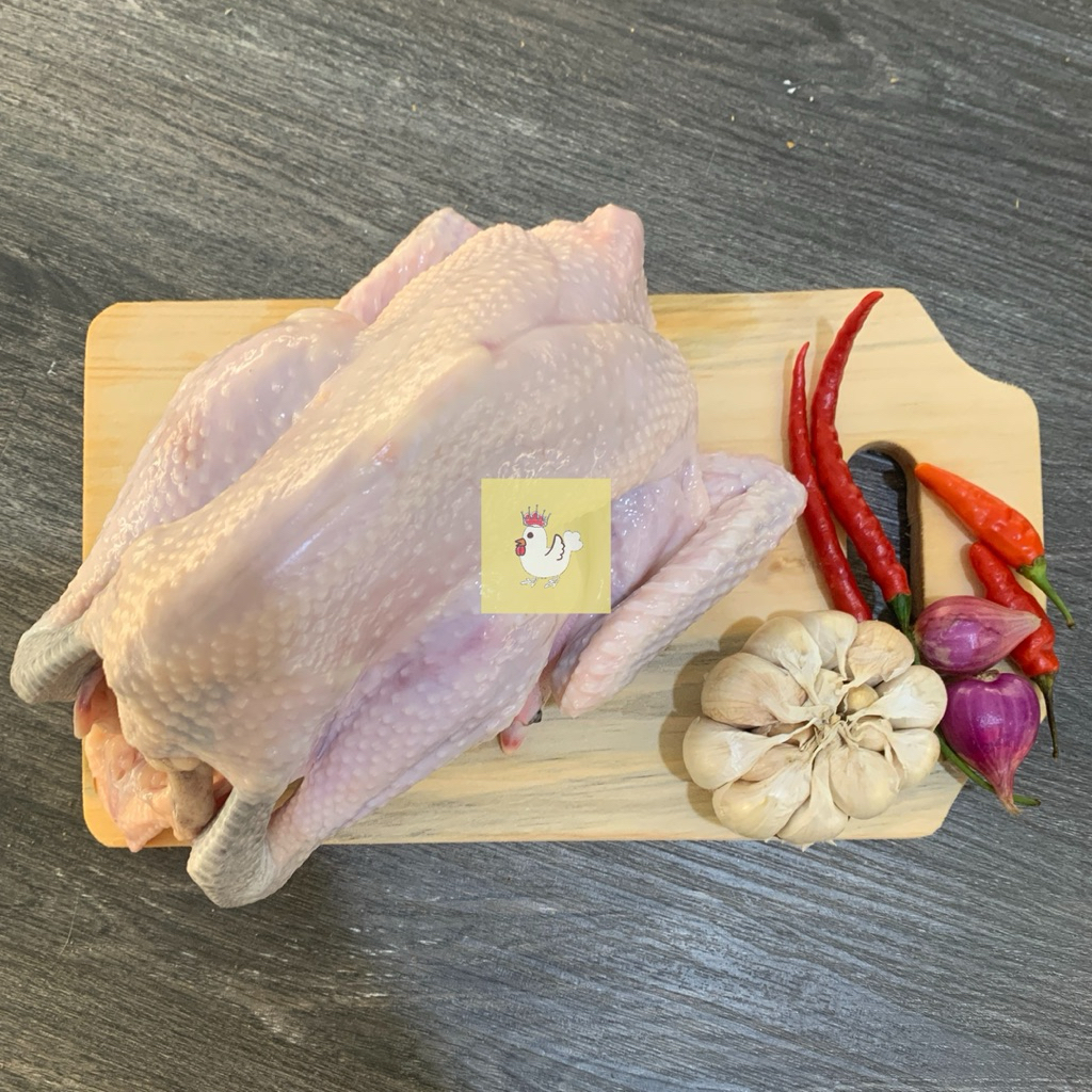 

bundle ayam pejantan 3 ekor