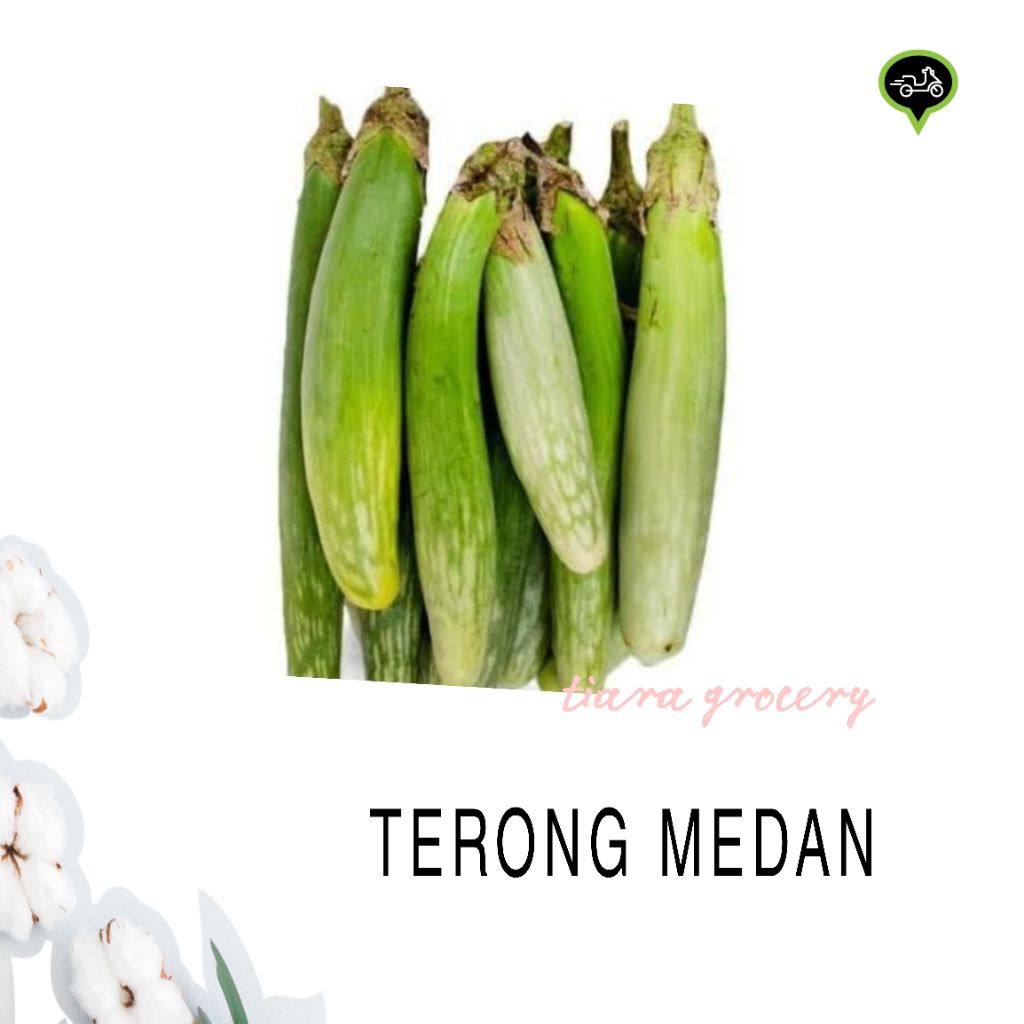 

Terong medan