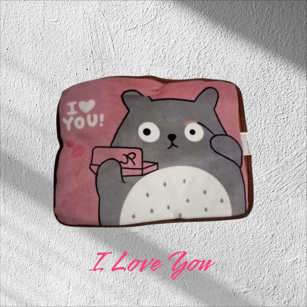 Bantal Hangat I Love You