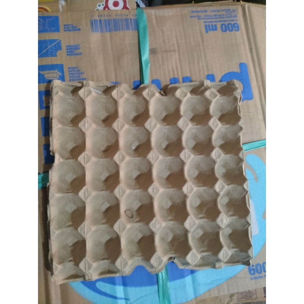 karton telur /wadah telur bekas