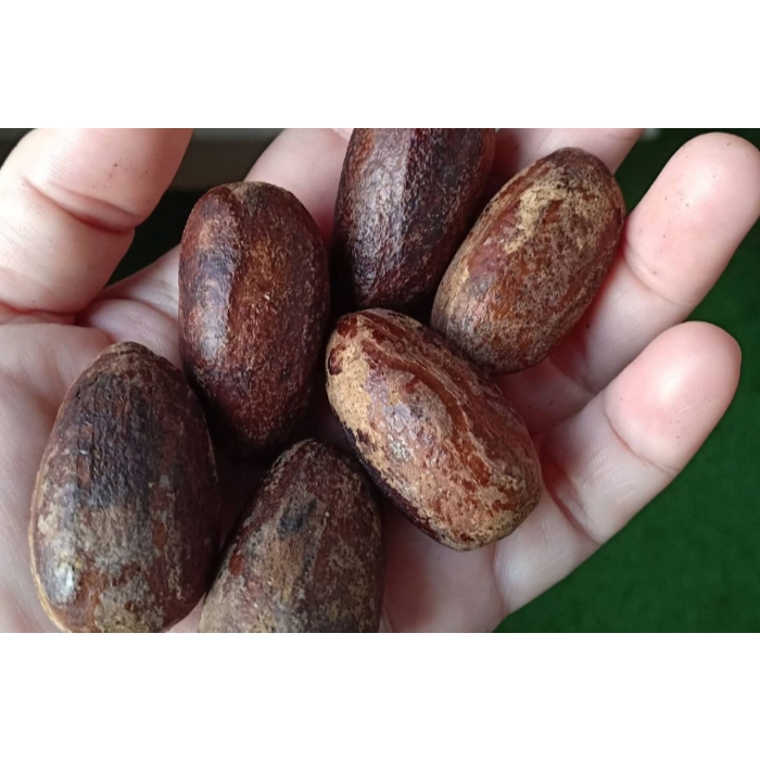 

Aneka Bumbu Dapur - Sayur Segar Instan Malang