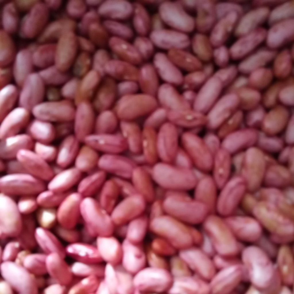

kacang merah murah promo per 1 kg
