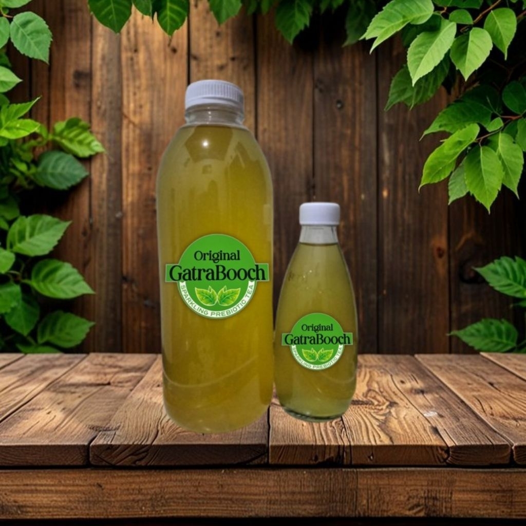 

kombucha original 250 ml