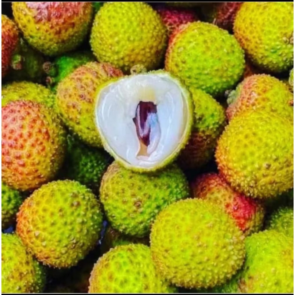 

LECI MADU IMPORT MANIS FRESH ISI TEBAL BIJI KECIL ( 500 GR ) PILIHAN SPESIAL
