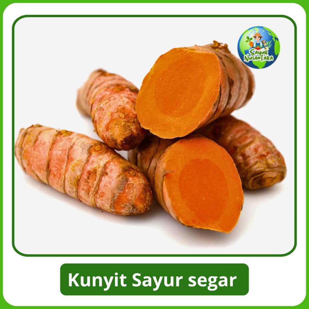 

Kunyit kuning [1 kg] Fresh