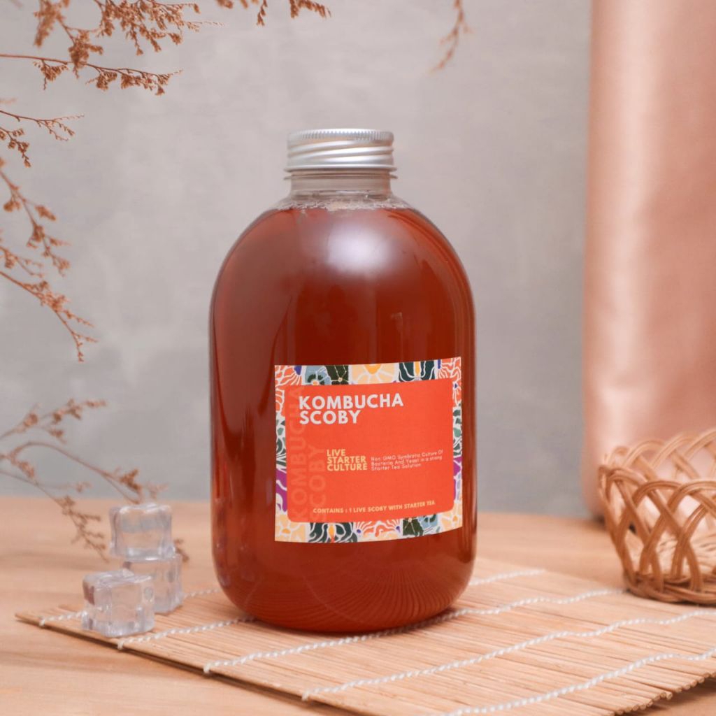 

Air Starter Kombucha Strong 500 Ml / Kombucha Tua