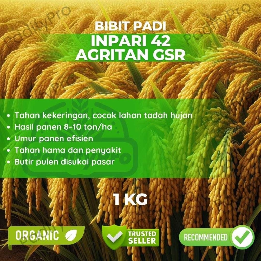 Bibit Benih PADI INPARI 42 AGRITAN GSR 1kg