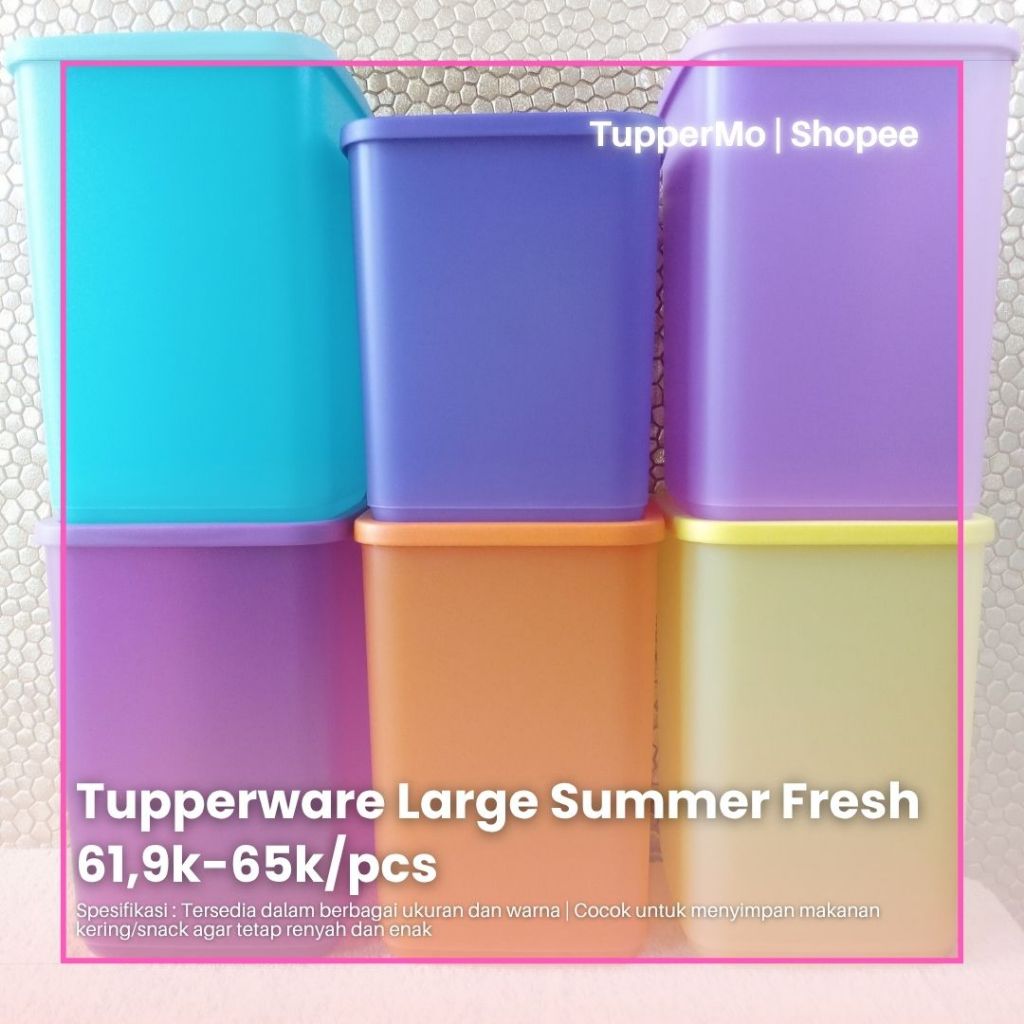 Large Summer Fresh Tupperware Ori