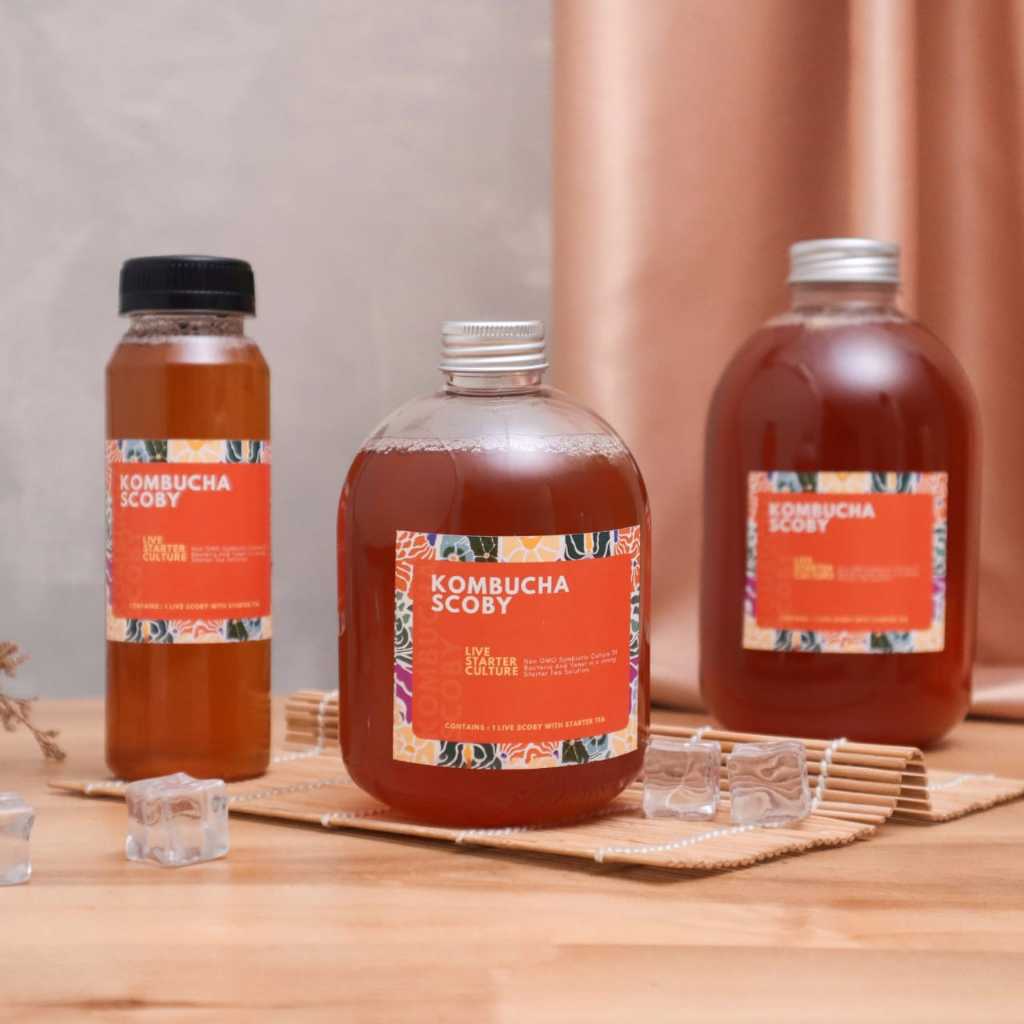 

Air Starter Kombucha Strong 250 ml | Larutan Kombucha Tua