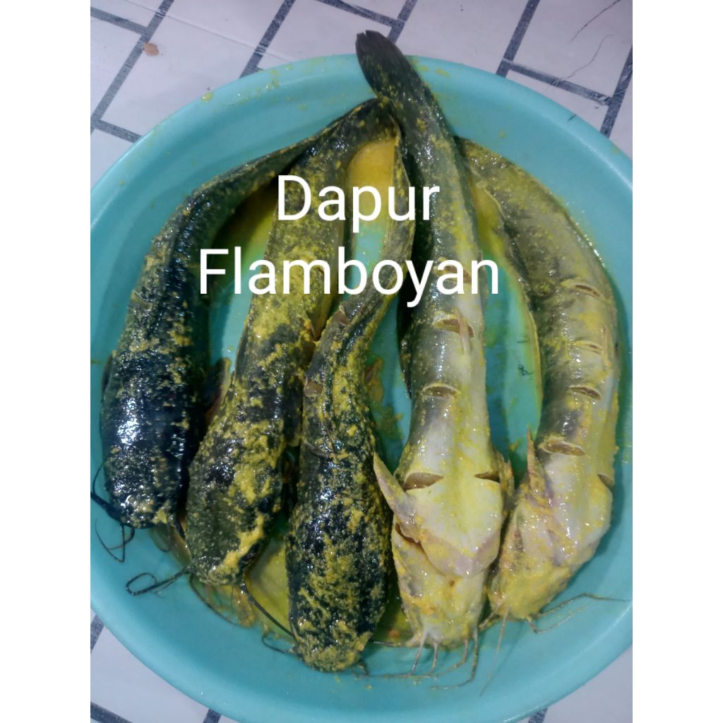 

Lele bumbu kuning per ekor bobot hidup ±250 gram atau 1 kg isi 5