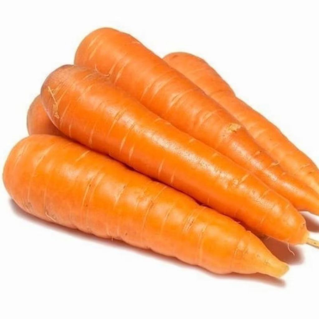 

Replika wortel ( 1pcs ) cocok untuk mainan anak-anak edukatif / edukasi / hiasan rumah / lemari / tekas / dekorasi / etalase toko / dummy / display