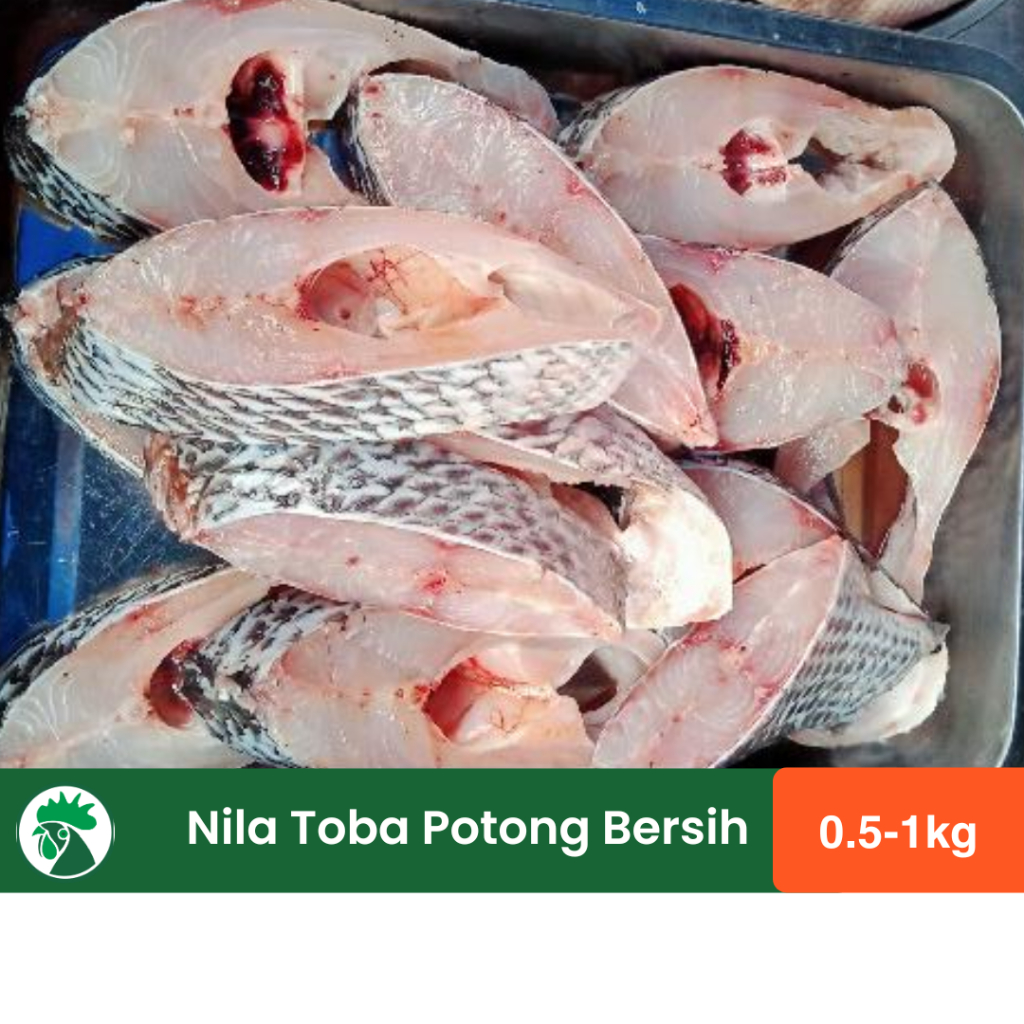 

Ikan Nila Toba Potong | Ikan Nila Bersih