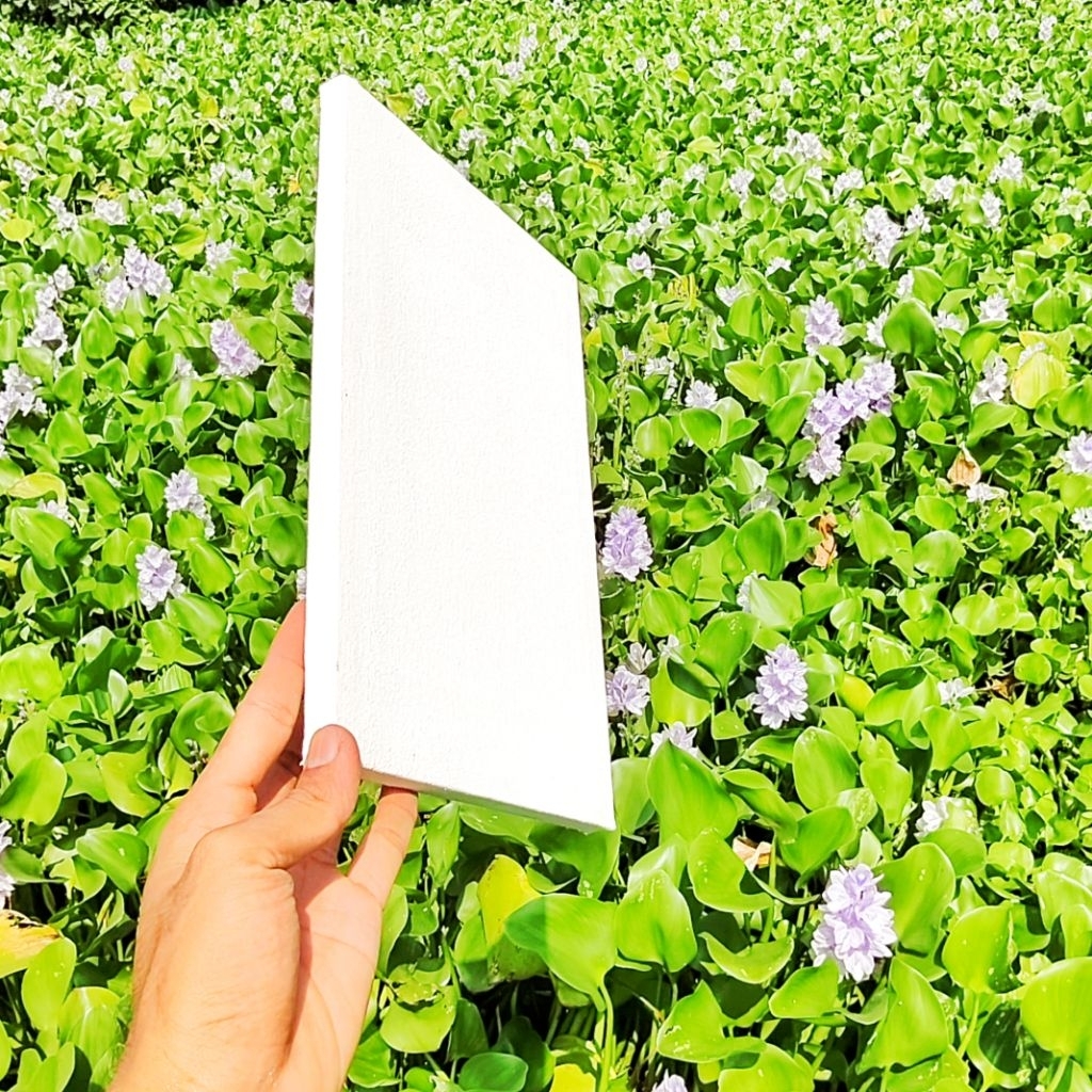 

kanvas /Lukis Basic Persegi panjang/ ukuran 20x30