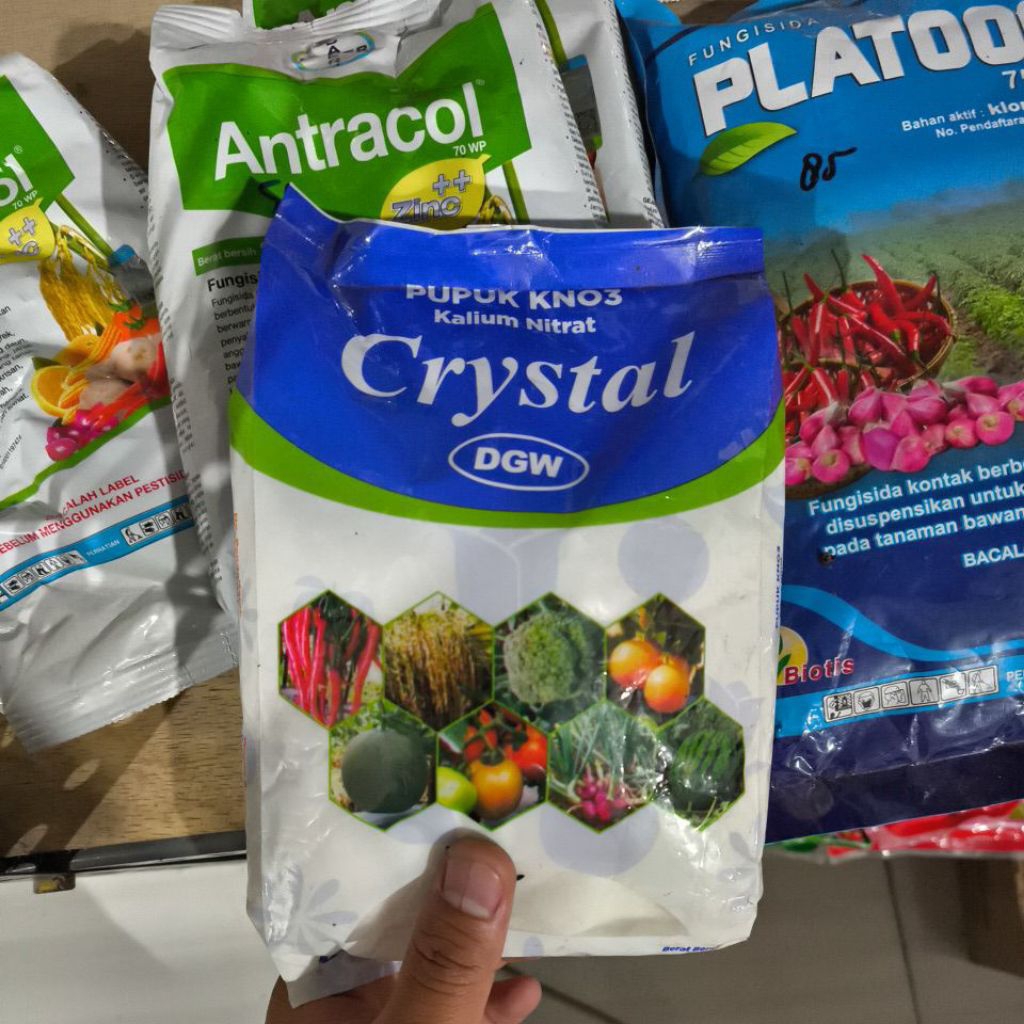 PUPUK KNO3 KALIUM NITRAT KRISTAL DGW 1 KG