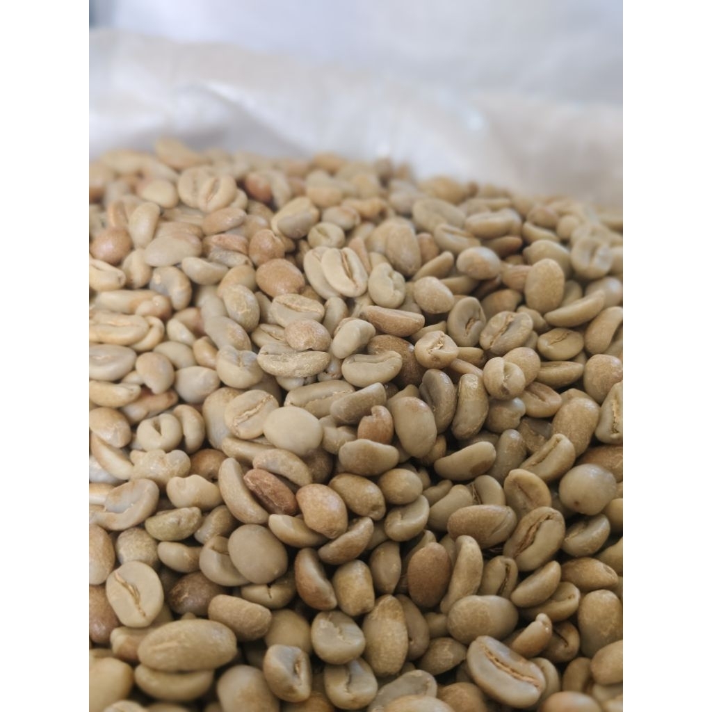 

Grean Bean Kopi Gayo Natural 100% Arabika Gayo Aradoor coffee 1kg