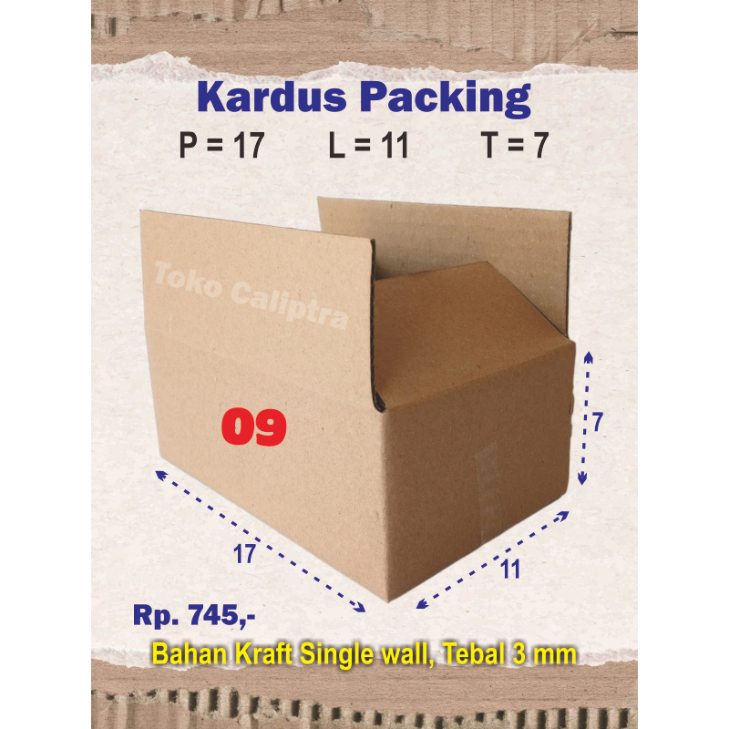 

Kardus Packing 09 PLT (17 x 11 x 7) Cm