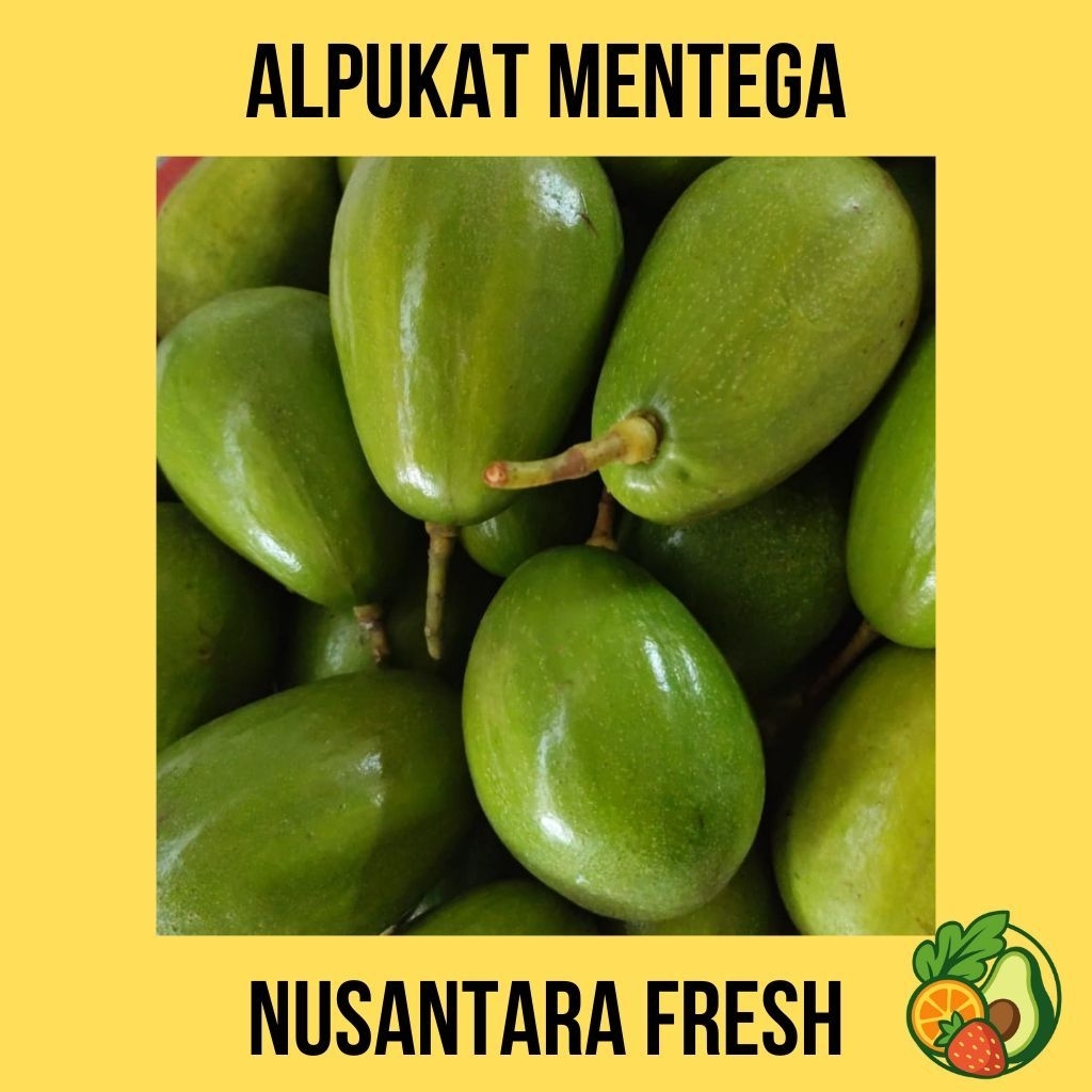 

ALPUKAT MENTEGA JUMBO PREMIUM I 1 KG ISI 1 - 2 Buah I BERGARANSI BUAH