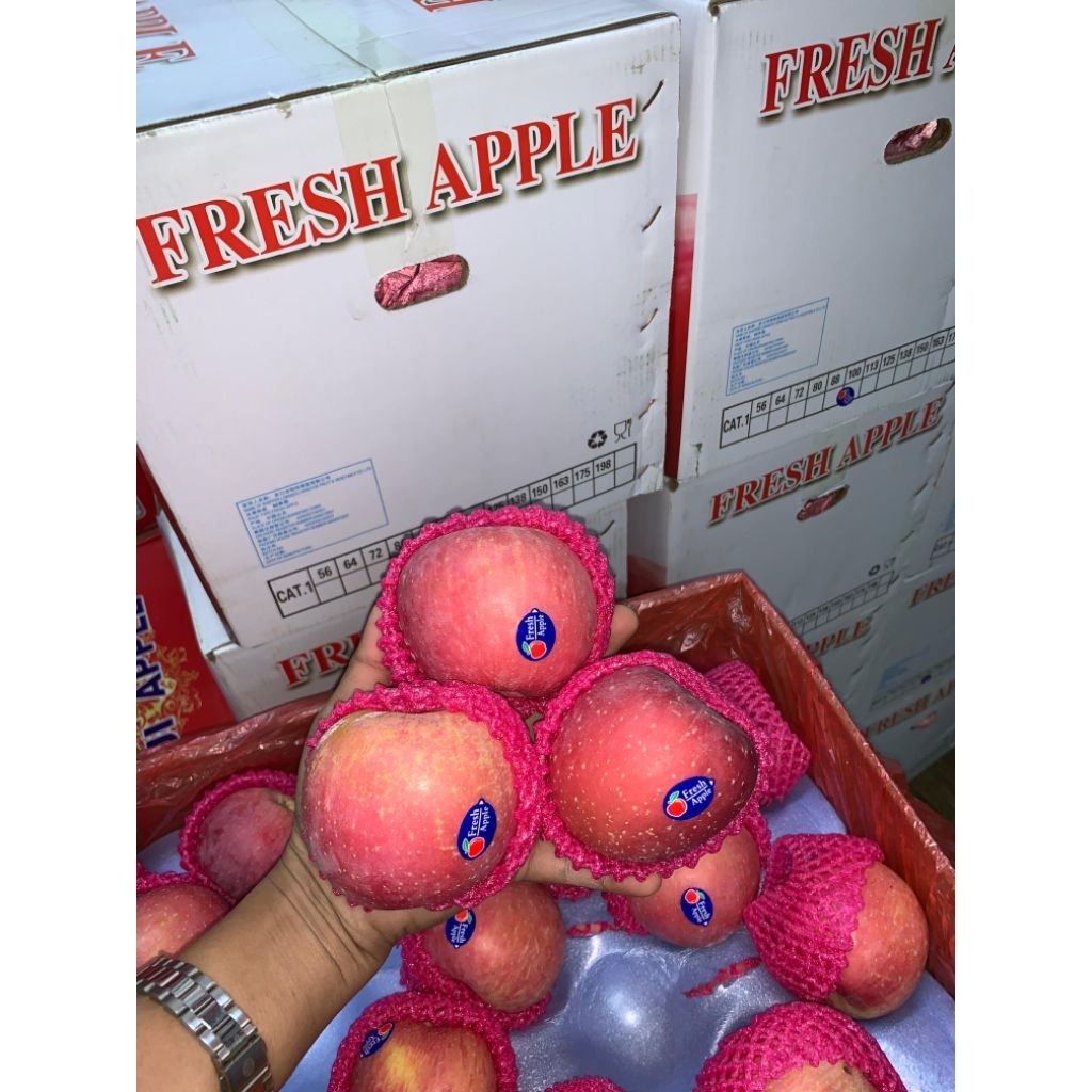 

apel fuji apel super segar fresh 1 kg