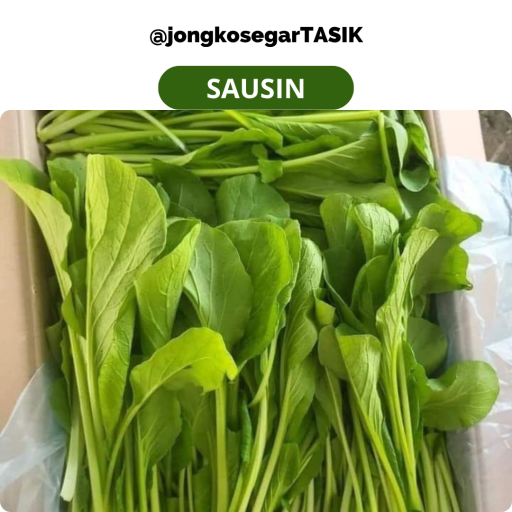 

jongkosegarTASIK - Sawi/Sausin Segar 100-500gram