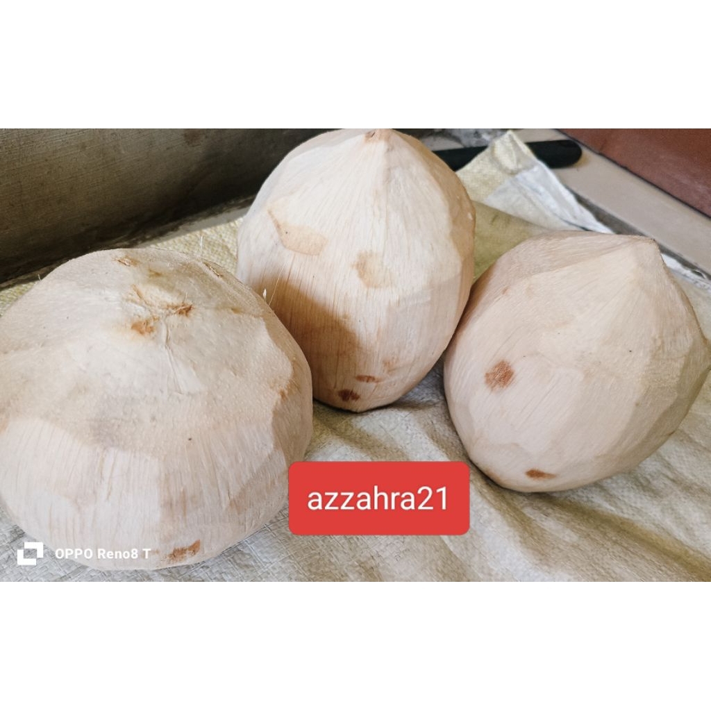 

kelapa muda kupas bersih segar nikmat