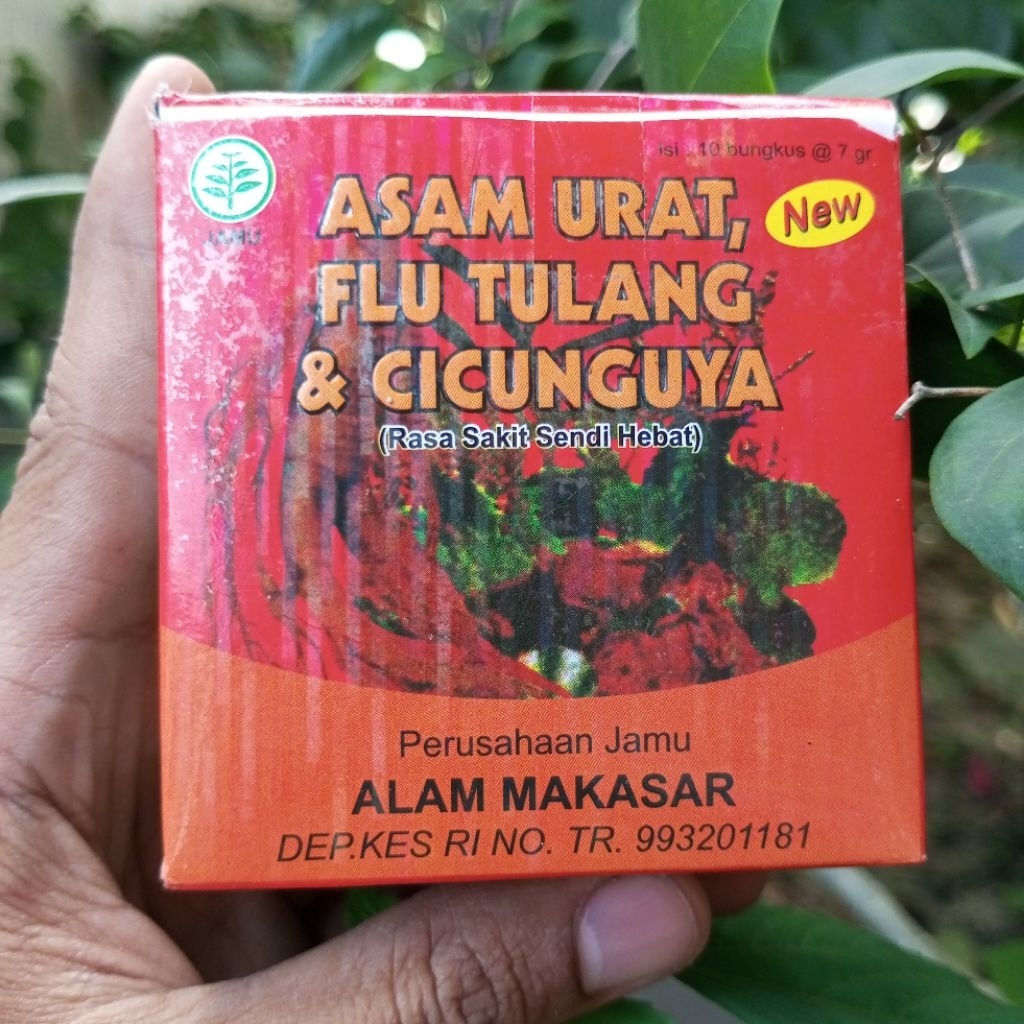 Asam urat, flu Tulang dan cicunguya. ALAM MAKASSAR