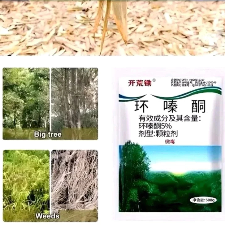 Bubuk Tree Killer Herbisida Pembasmi Rumput Pohon Dan Bambu